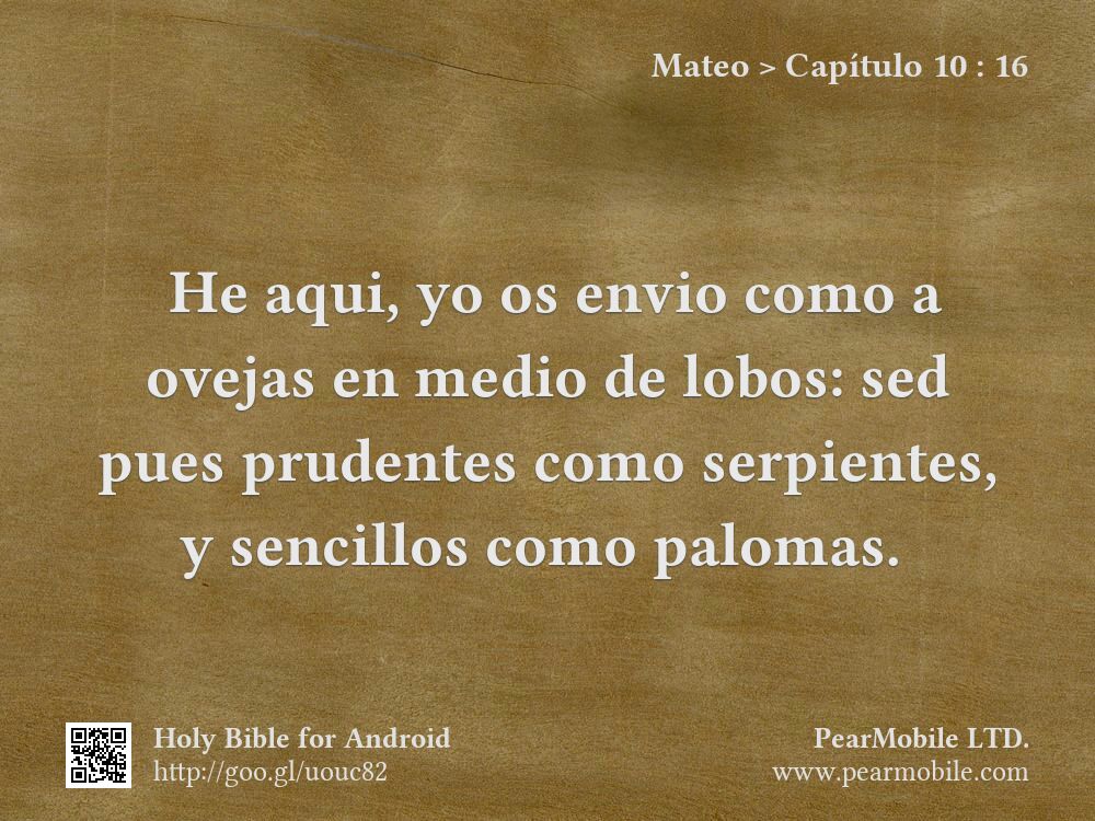 Mateo, Capítulo 10:16